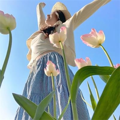 密探海芮：部落格大战
